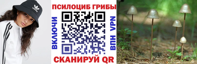 Галлюциногенные грибы ЛСД  где купить наркотик  Судак 